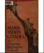 Mark Tidd's Citadel