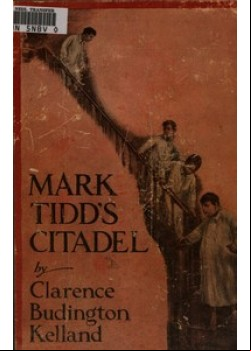 Mark Tidd's Citadel