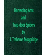 Harvesting Ants and Trap-Door Spiders
