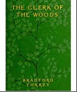 The Clerk of the Woods