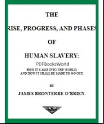 The rise, progress, and phases of human slavery