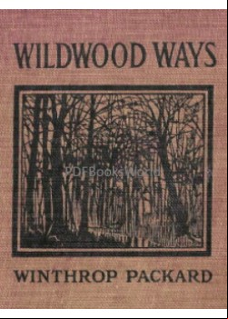 Wildwood Ways