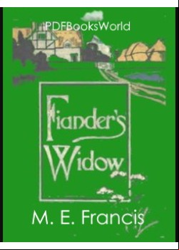 Fiander's Widow -  A Novel