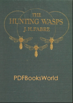 The Hunting Wasps